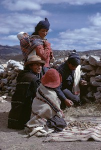 Pucuhuaranga family showing me maca, Dept. of Junín, Peru, 1973.  Credit: Michael F. Brown. (CC BY-NC-ND 4.0) 