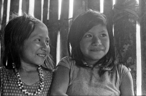 Credit: Michael F. Brown, CC license, Attribution CC BY