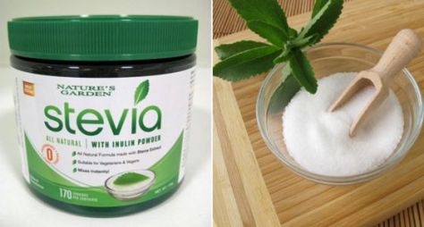 stevia